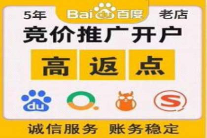 行业领先企业的SEM竞价代运营案例解析